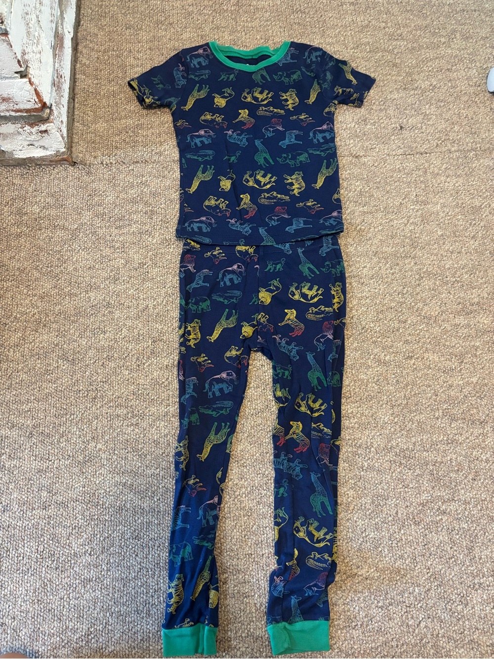 Boys Pajama Set